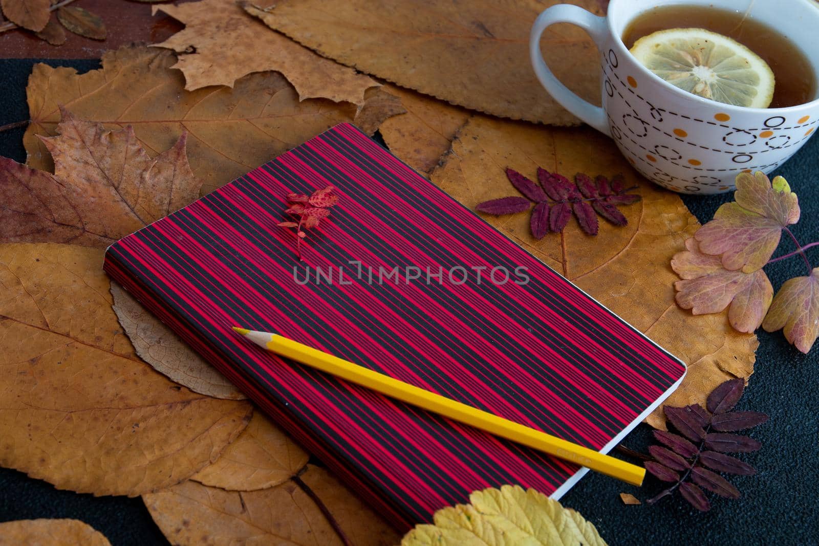 red striped notebook lies on dry autumn leaves a cup with tea with lemon on a cherng background autumn yellow orange pencil on a notebook