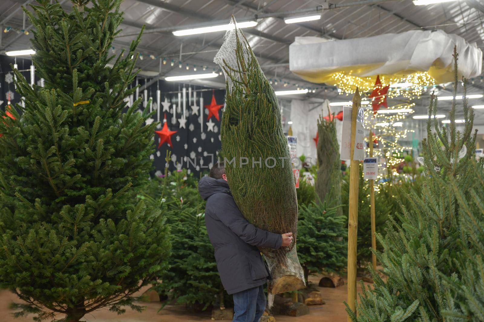 A man carries a Christmas tree packed in a plastic net