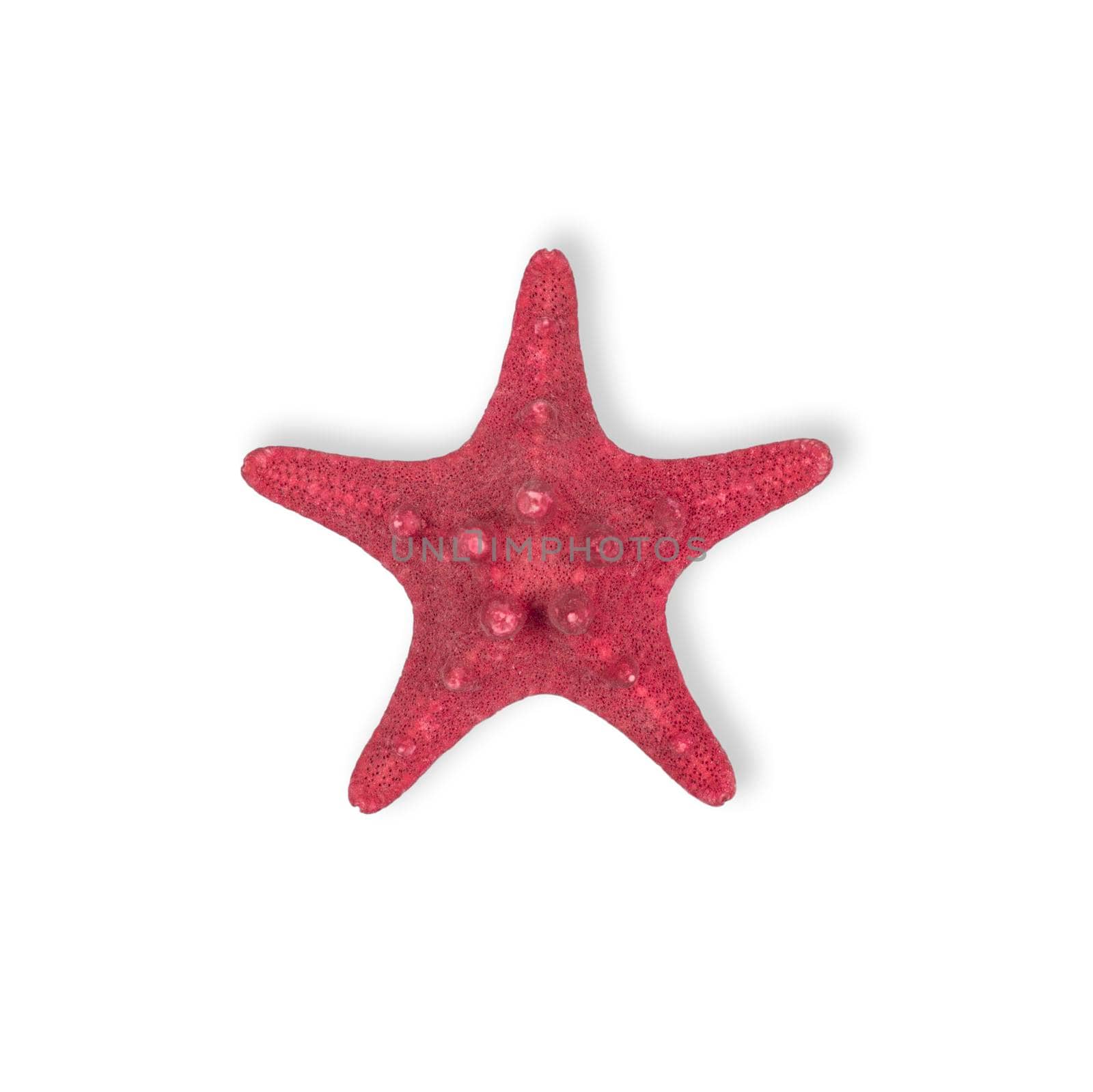 Dried Red sea star fish isolated on white background. Top view.
