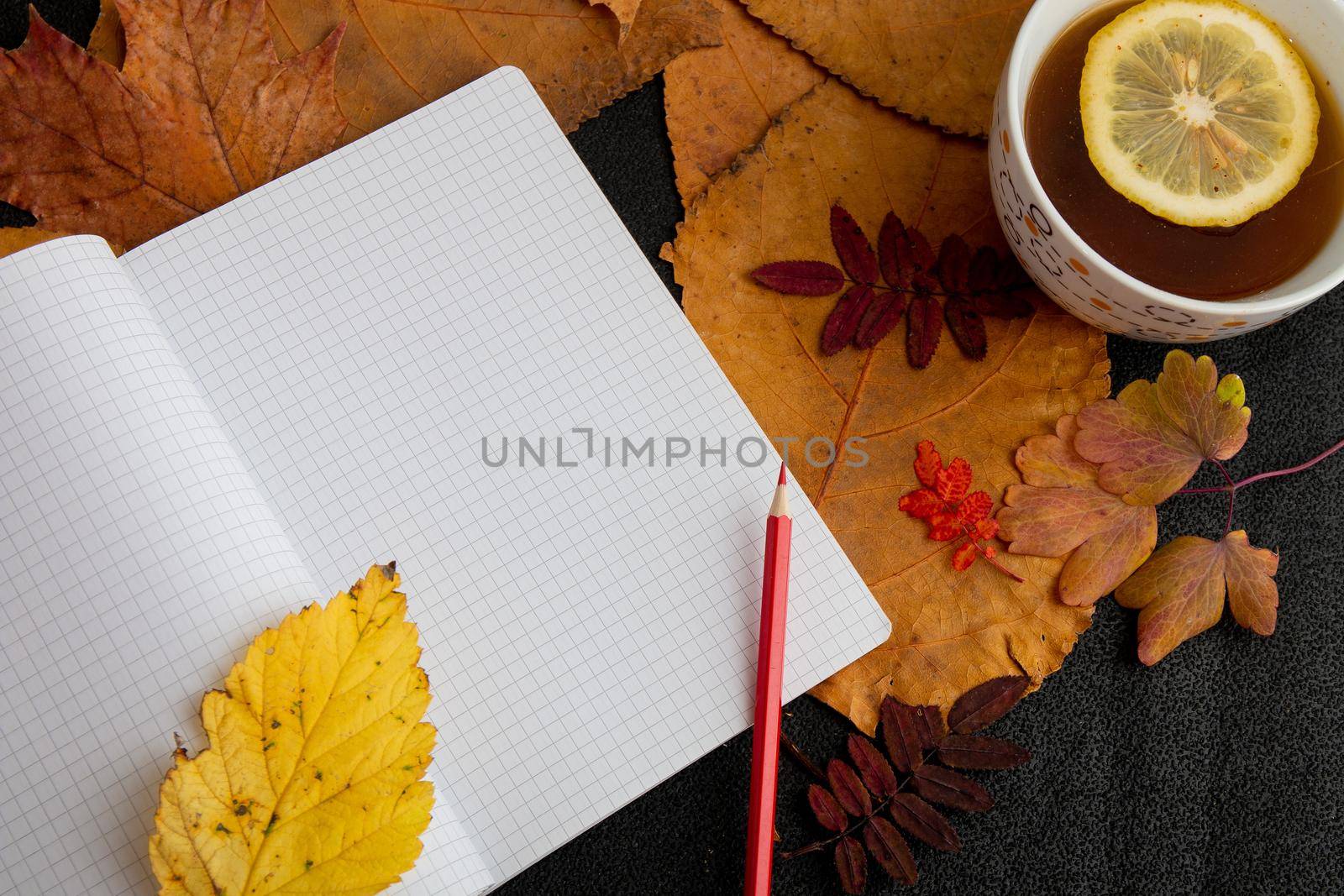 autumn leaves and notebook by natashko