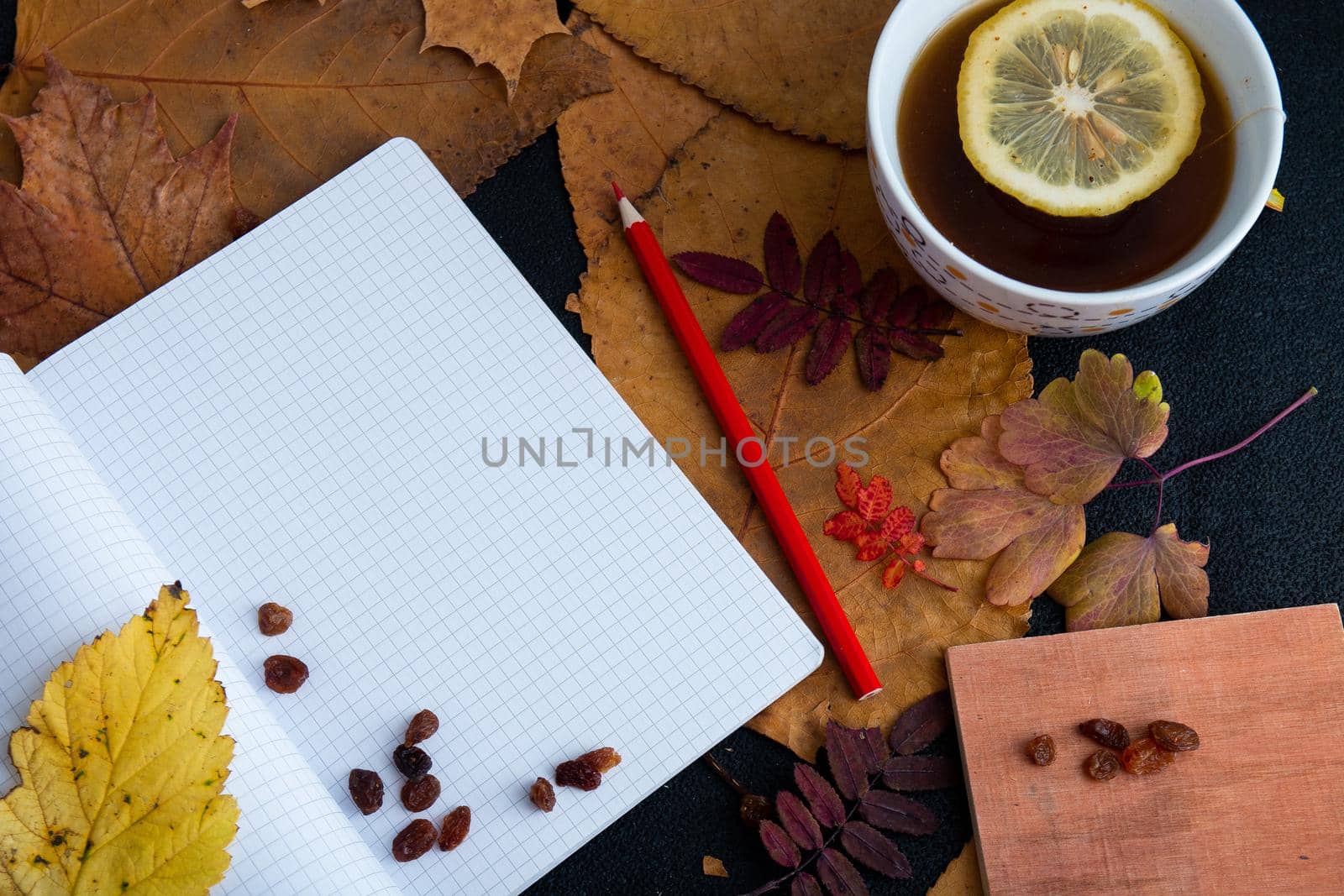 red pencil, notebook, raisins, a cup with lemon tea lie on autumn dry leaves on a black table background top view flat lay
