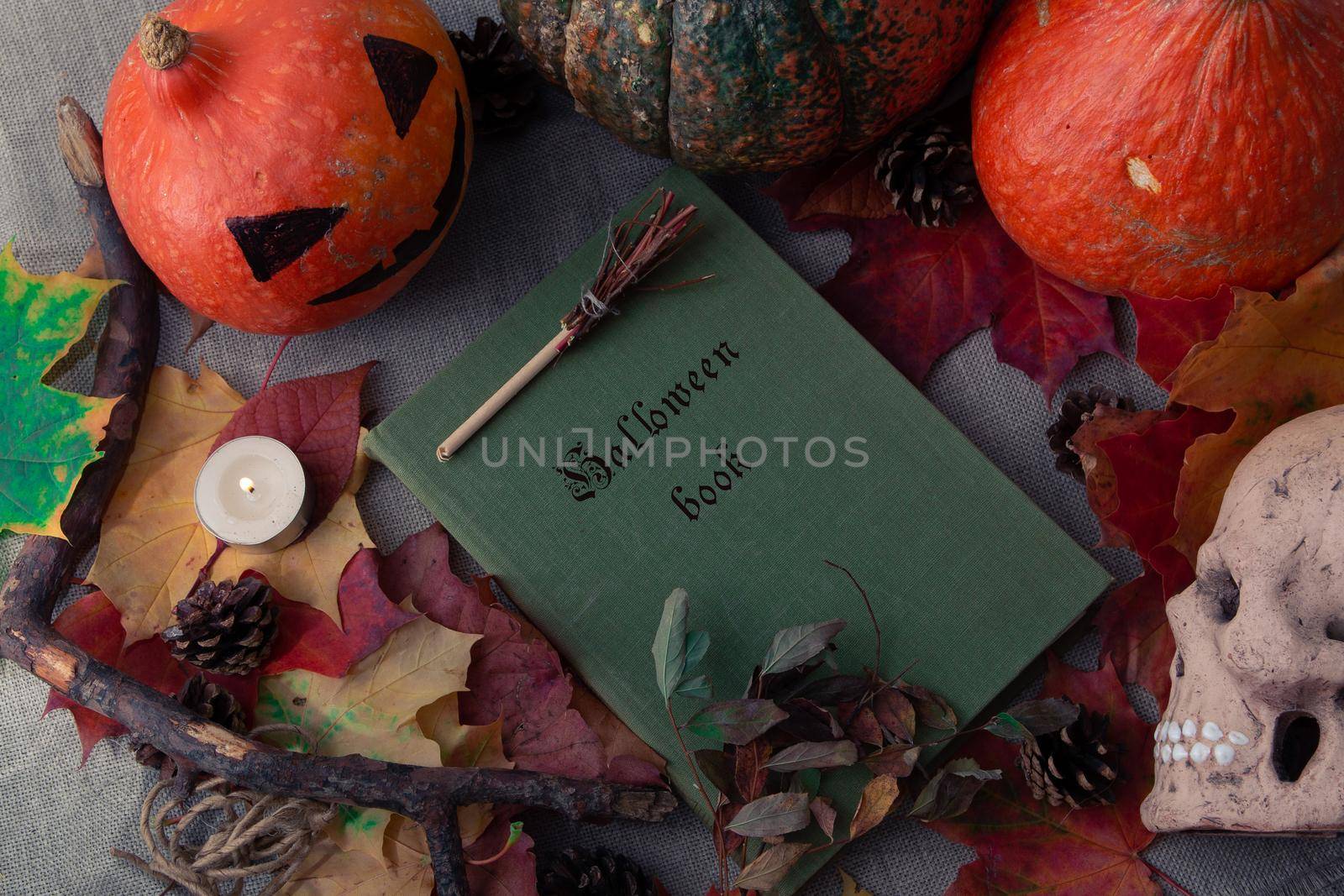 halloween flat lay still life composition background of skulls, pumpkins, autumn leaves, various holiday attributes, top view, copy space