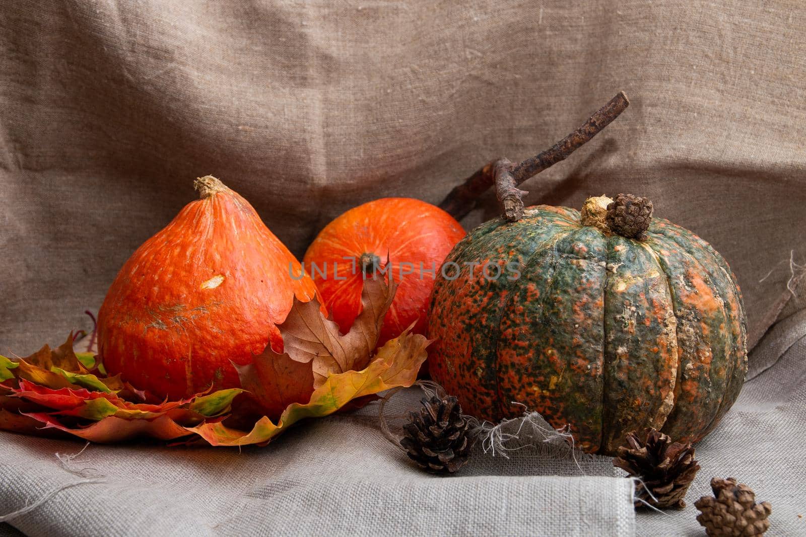 pumpkins, cones and auturm leaves on a linen, fabric texture,copy space, top view,cozy still life by natashko