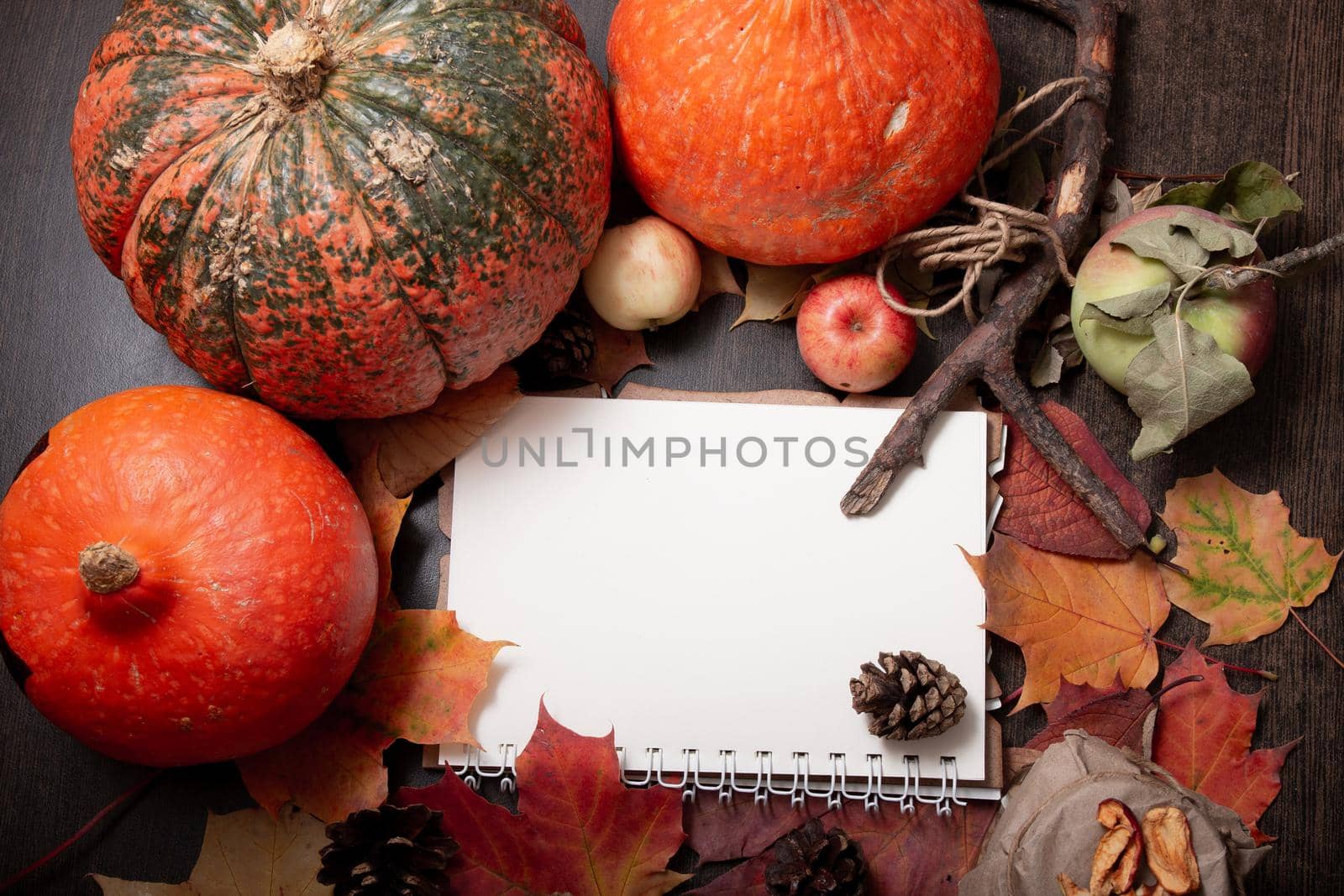 cones, candle, autumn fruits and vegetables on a dark background with a notebook, branch and dried fruits, copy space, theme of health and seasonal colds,top view?brown background wooden table