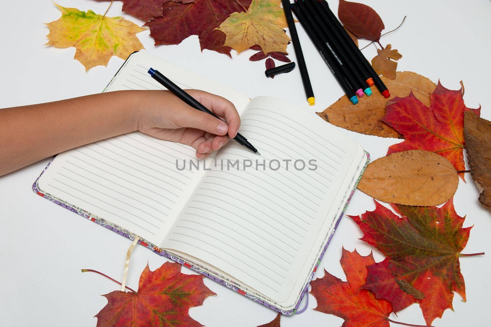 children's hand with a pen on a notebook writes on a white table, autumn leaves, back to school, copy place