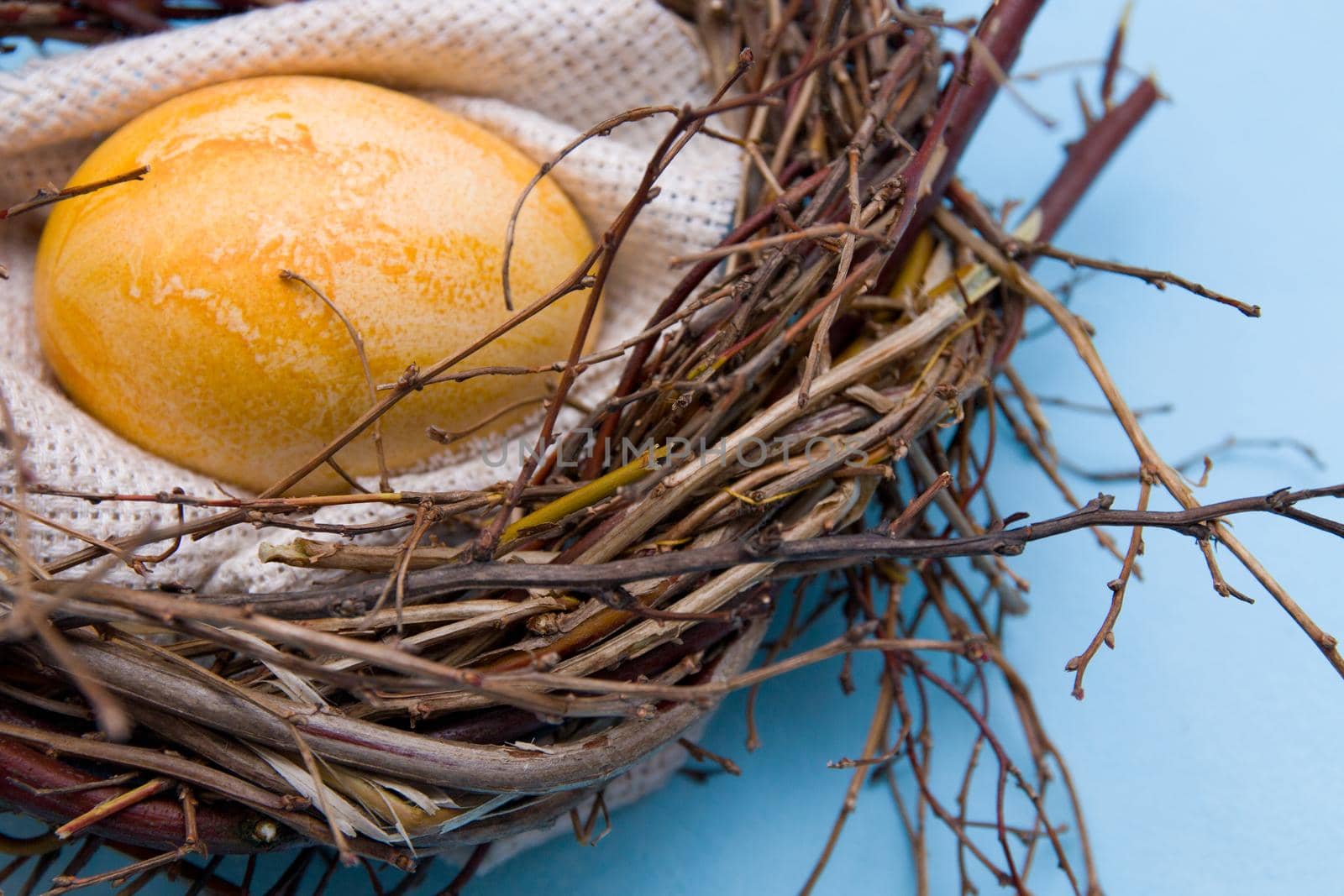 golden easter egg in a makeshift nest of twigs on a blue background close-up