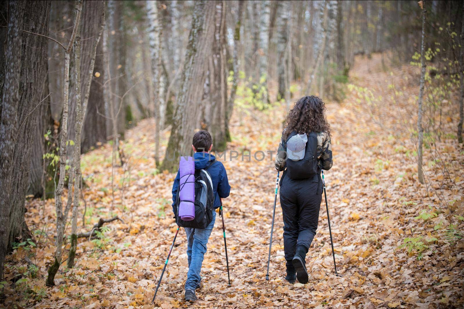 Nordic walking. Child boy and young woman in the forest. Back view. Fall season