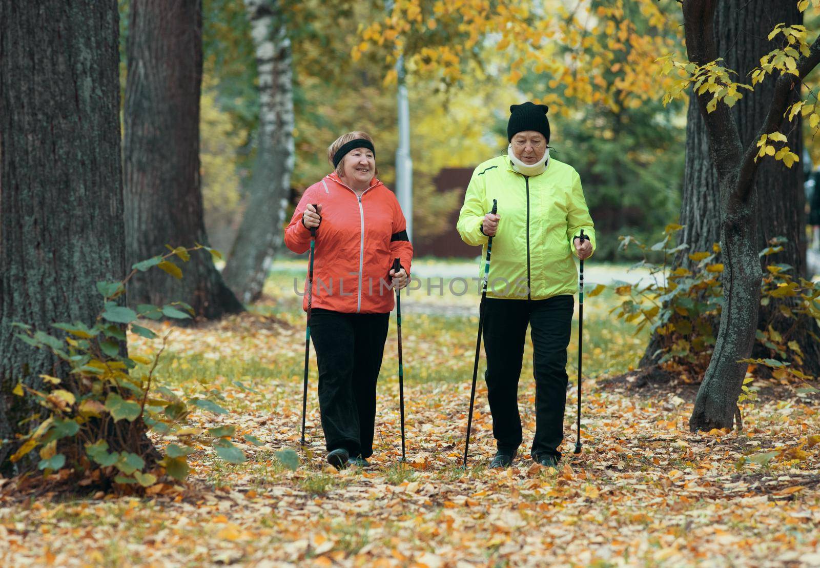 Mature women walking in an autumn park during a scandinavian walk. Wide shot.