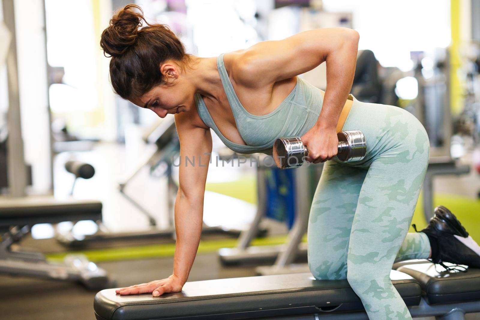 Caucasian strong woman lifting some weights and working on her triceps and biceps in a gym with dumbbells.