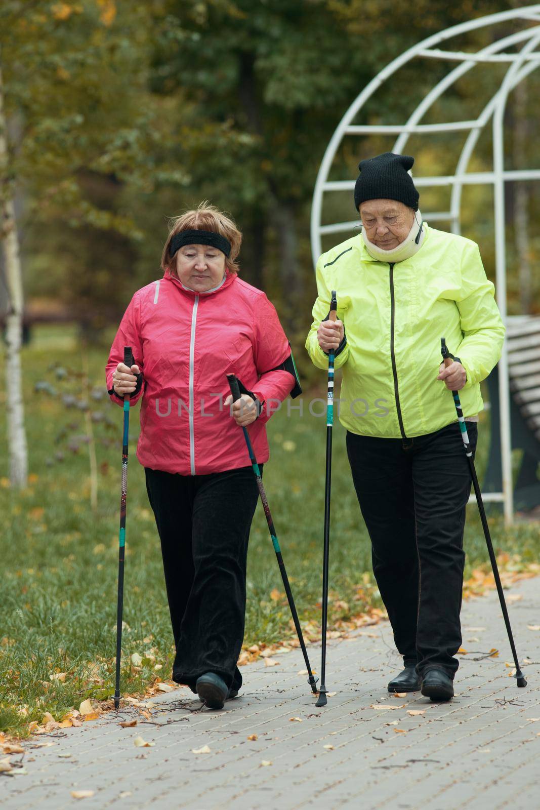 Old women in jackets walking on sidewalk in an autumn park during a scandinavian walk. Talking