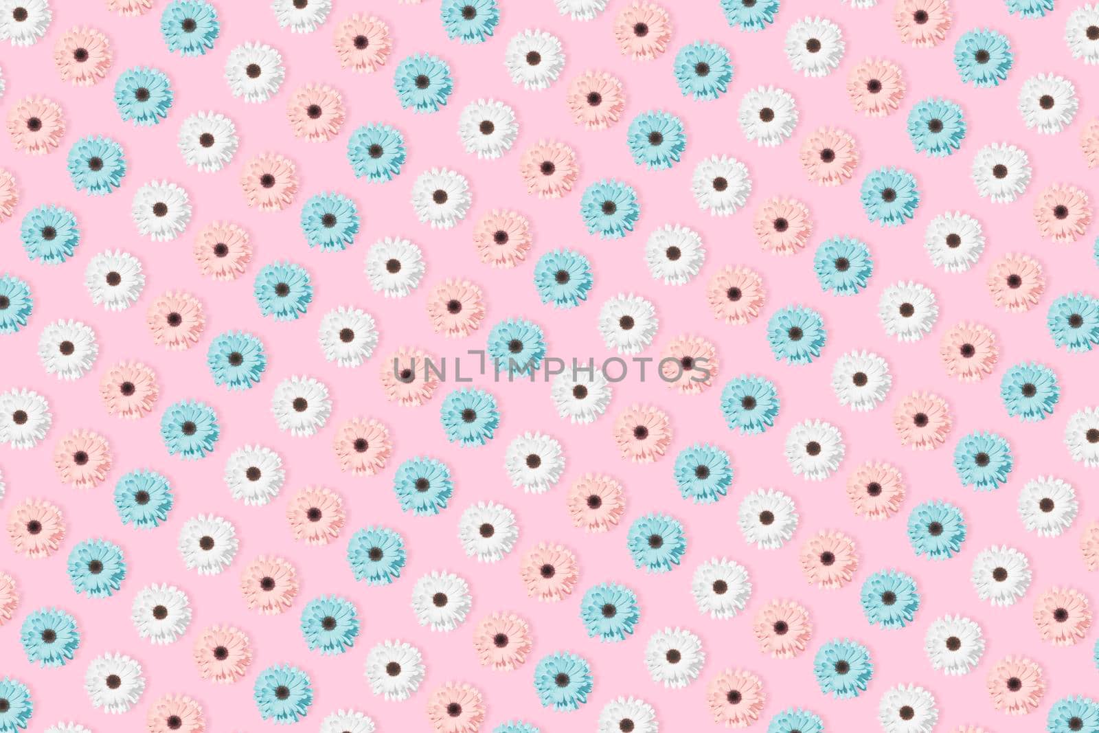 Pink, blue and white Chamomile or gerbera floral pattern. Summer flowers