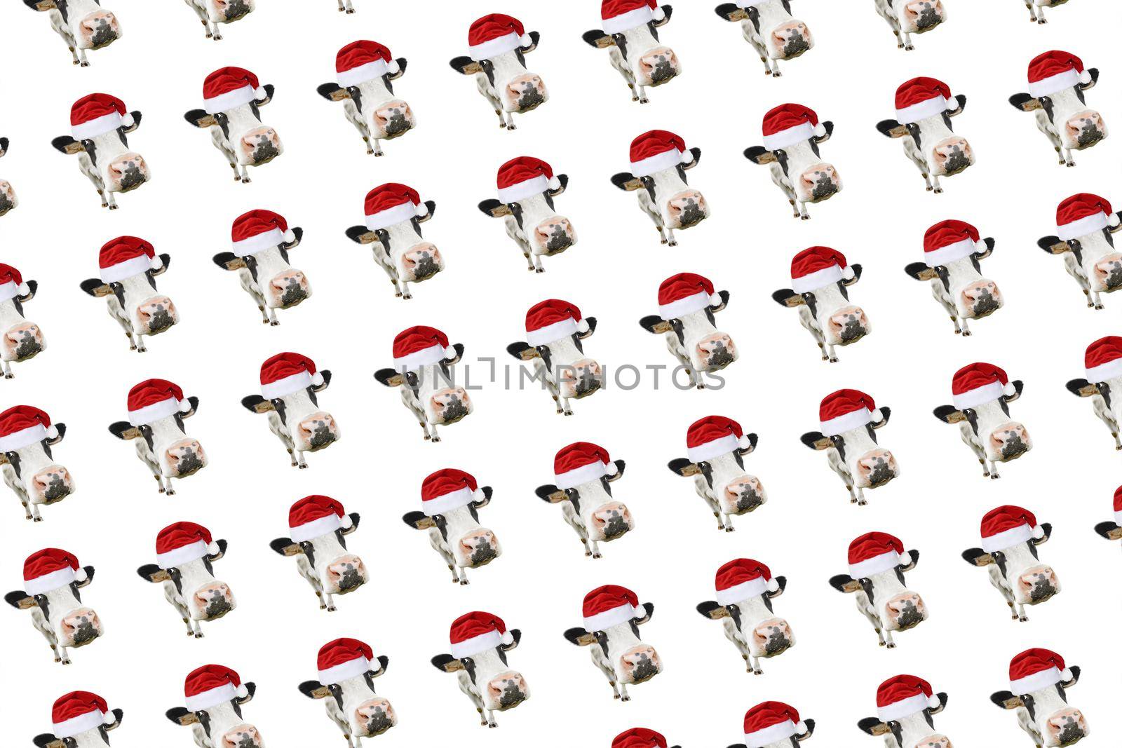 Funny cow isolated in Christmas hat pattern. by esvetleishaya