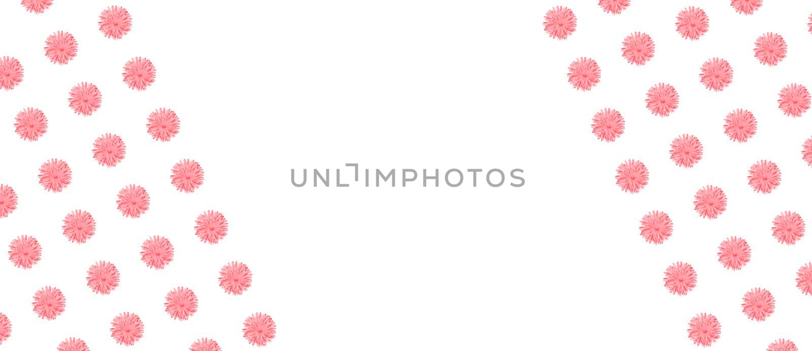 Pink Chamomile or gerbera isolated on white diagonal pattern with copy space. by esvetleishaya