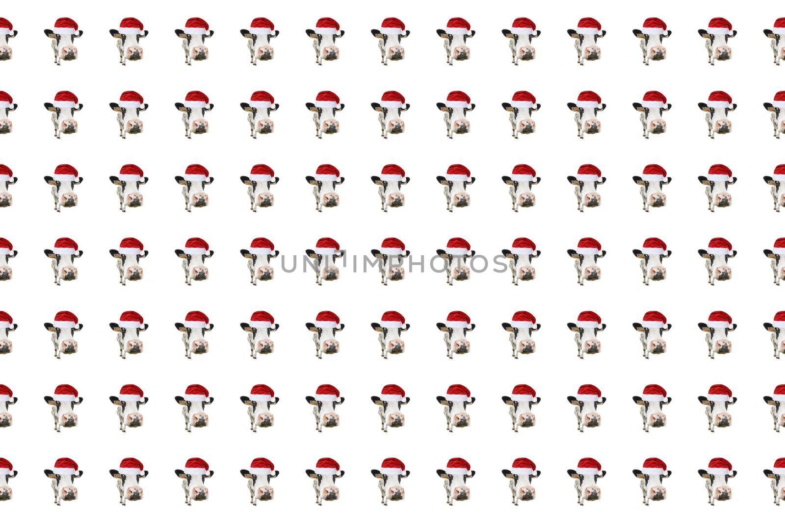 Funny cow isolated in Christmas hat pattern. by esvetleishaya