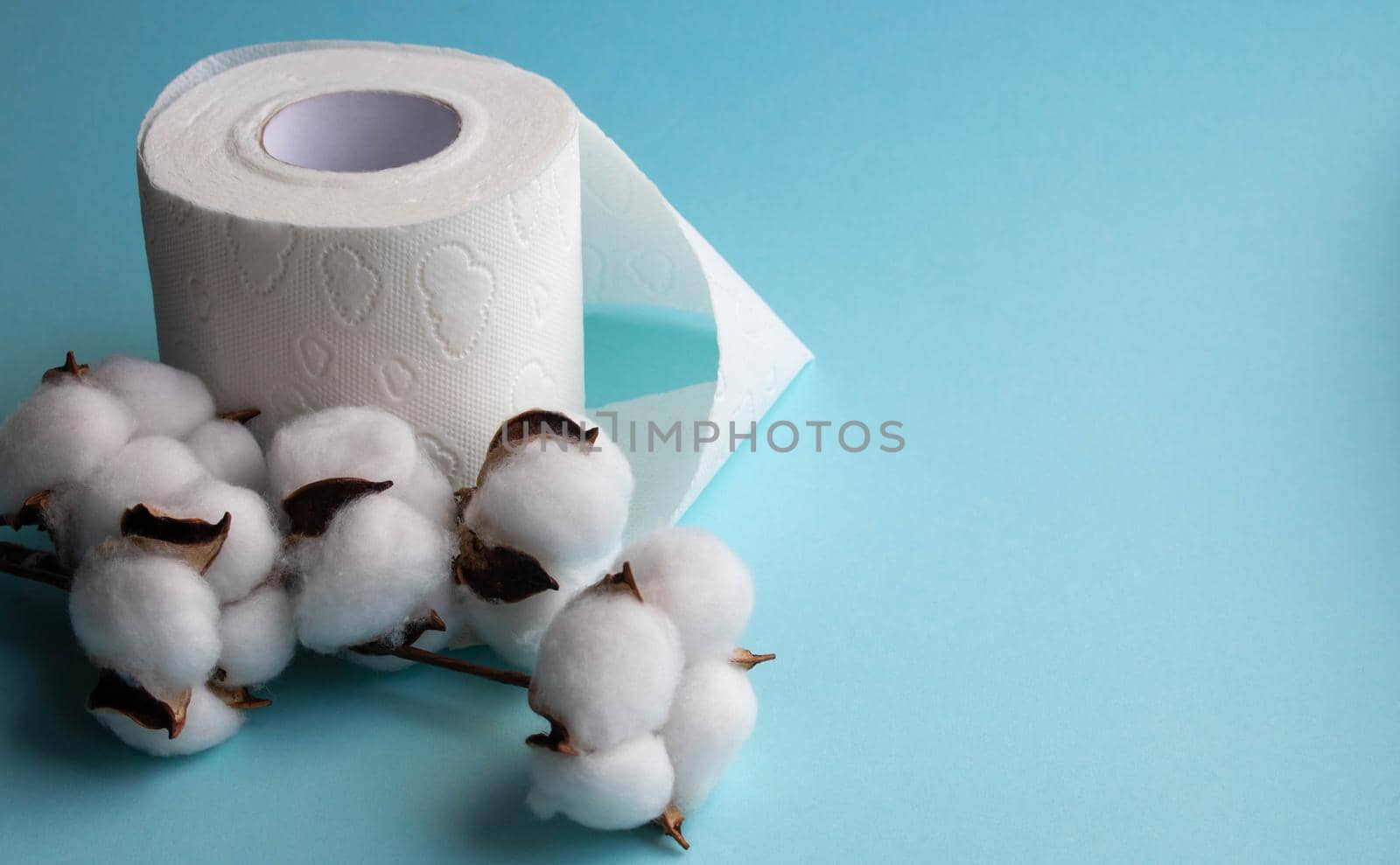 Toilet paper roll isolated on a blue background, with a branch of fluffy cotton flowers.