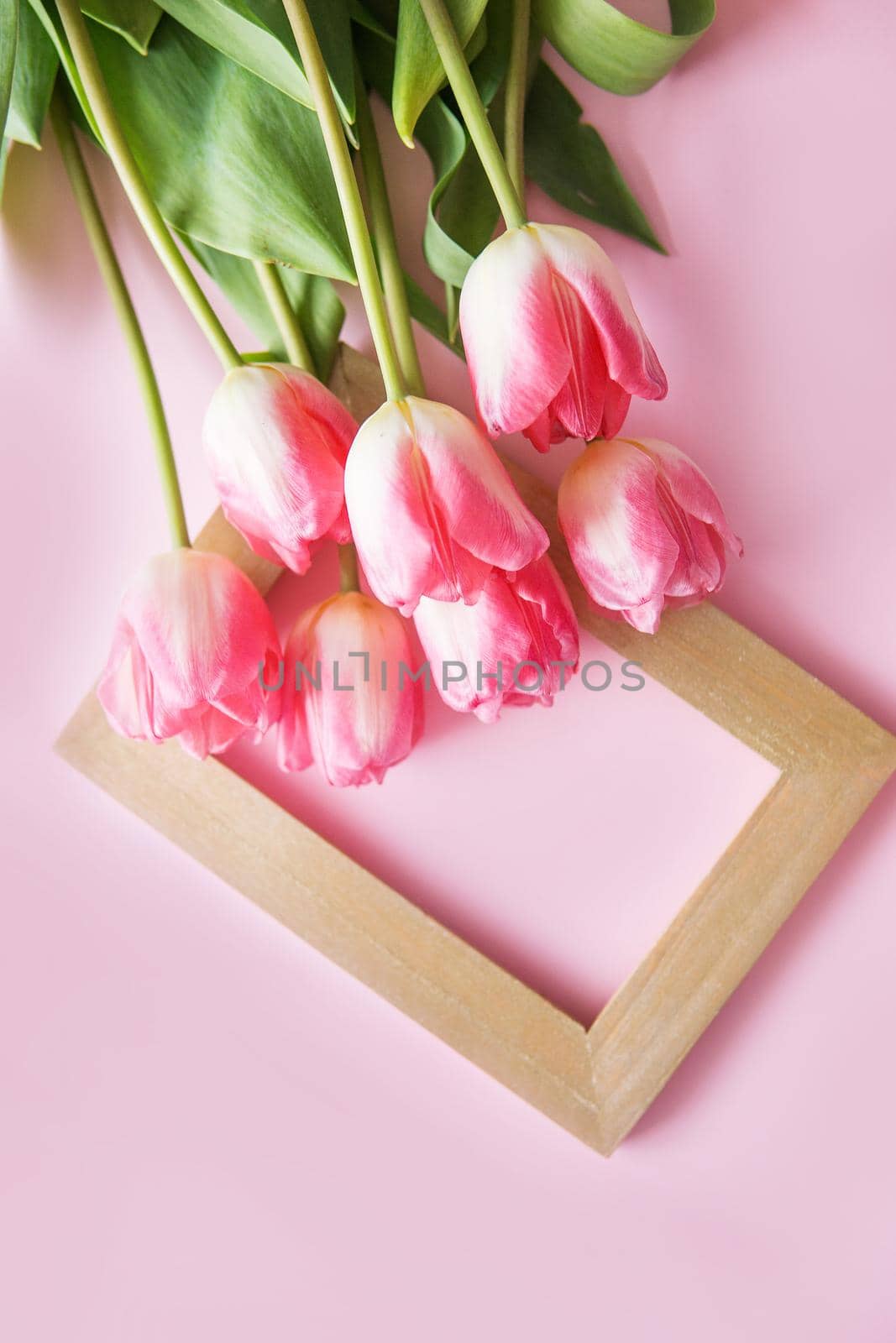 Pink Tulip flowers are arranged on a pink background. The view from the top, flat lay. Spring concept. Women's day. Mother's day. by Annu1tochka