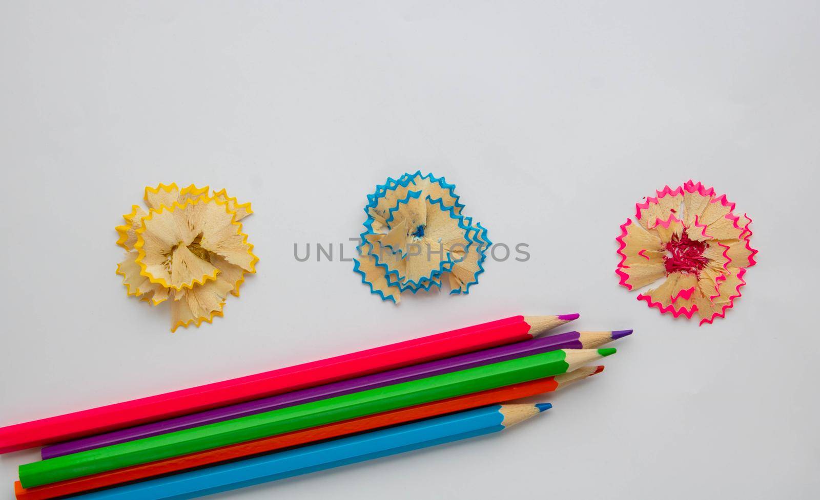 Colored wooden pencils and shavings lined with flowers, isolated on a white background. Old wooden pencils with garbage, shavings