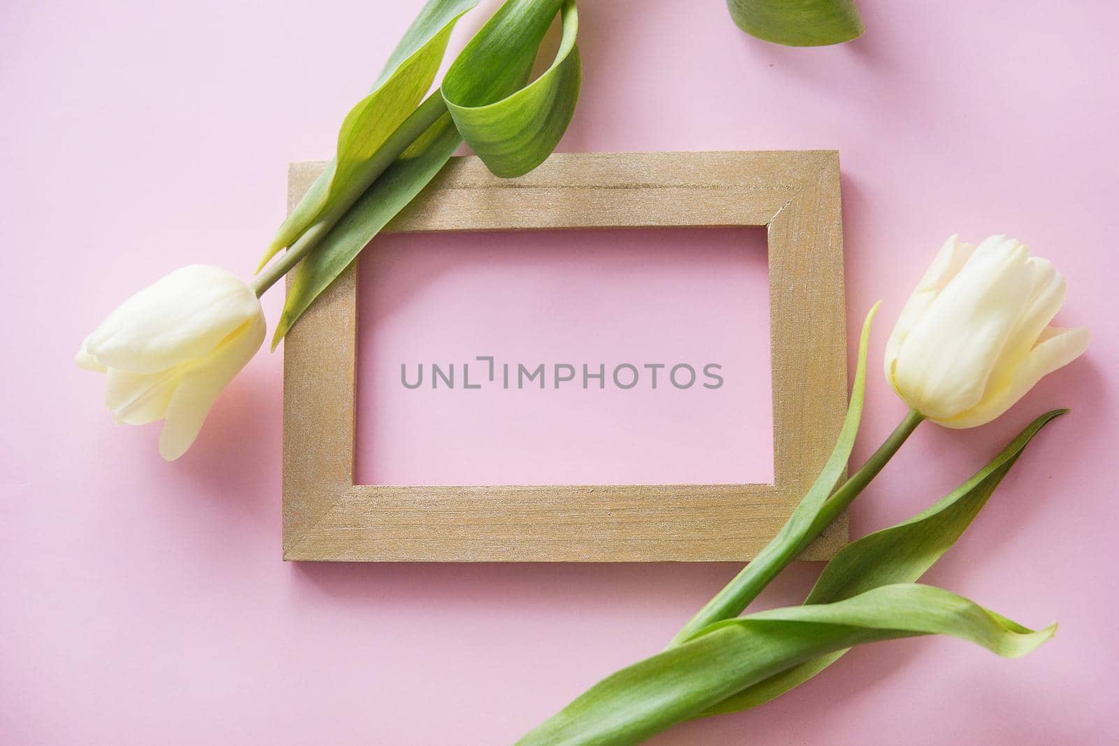 Yellow Tulip flowers are arranged on a pink background. Flowers on a close-up photo frame. Spring concept. Women's day. Mother's day.