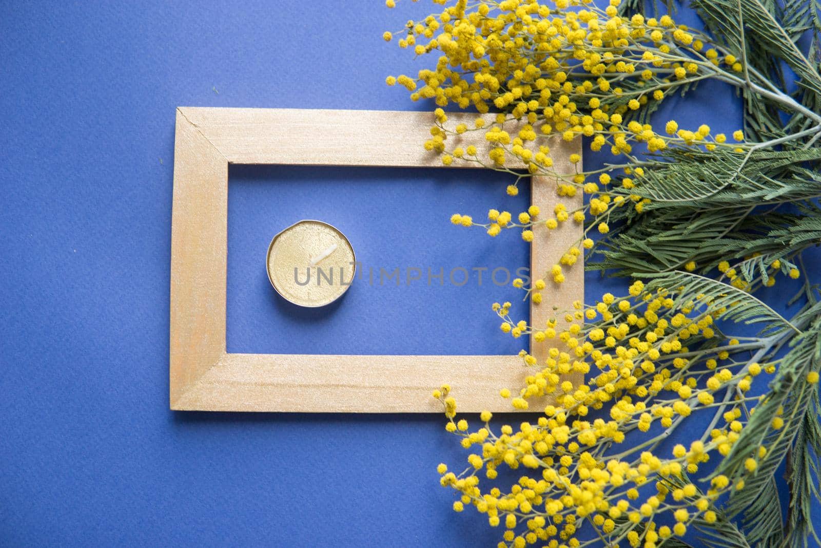Spring concert. Mimosa and gold frame on blue background. Mimosa close-up. Happy spring. by Annu1tochka