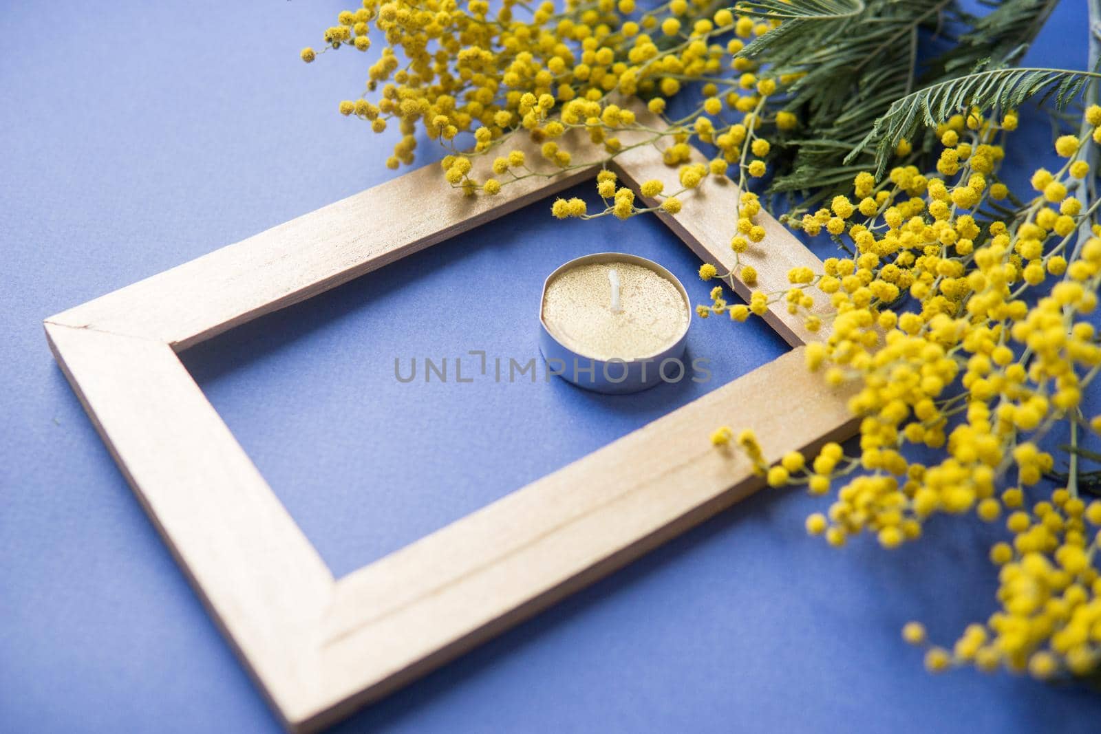 Spring concert. Mimosa and gold frame on blue background. Mimosa close-up. Happy spring. Space for text.
