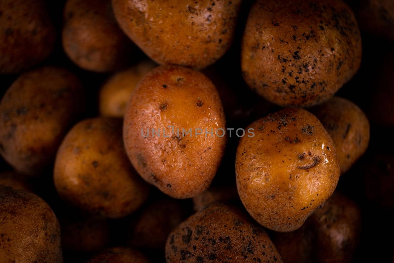 Closeup Abstract Textured Background of a fresh wade potato by lunarts