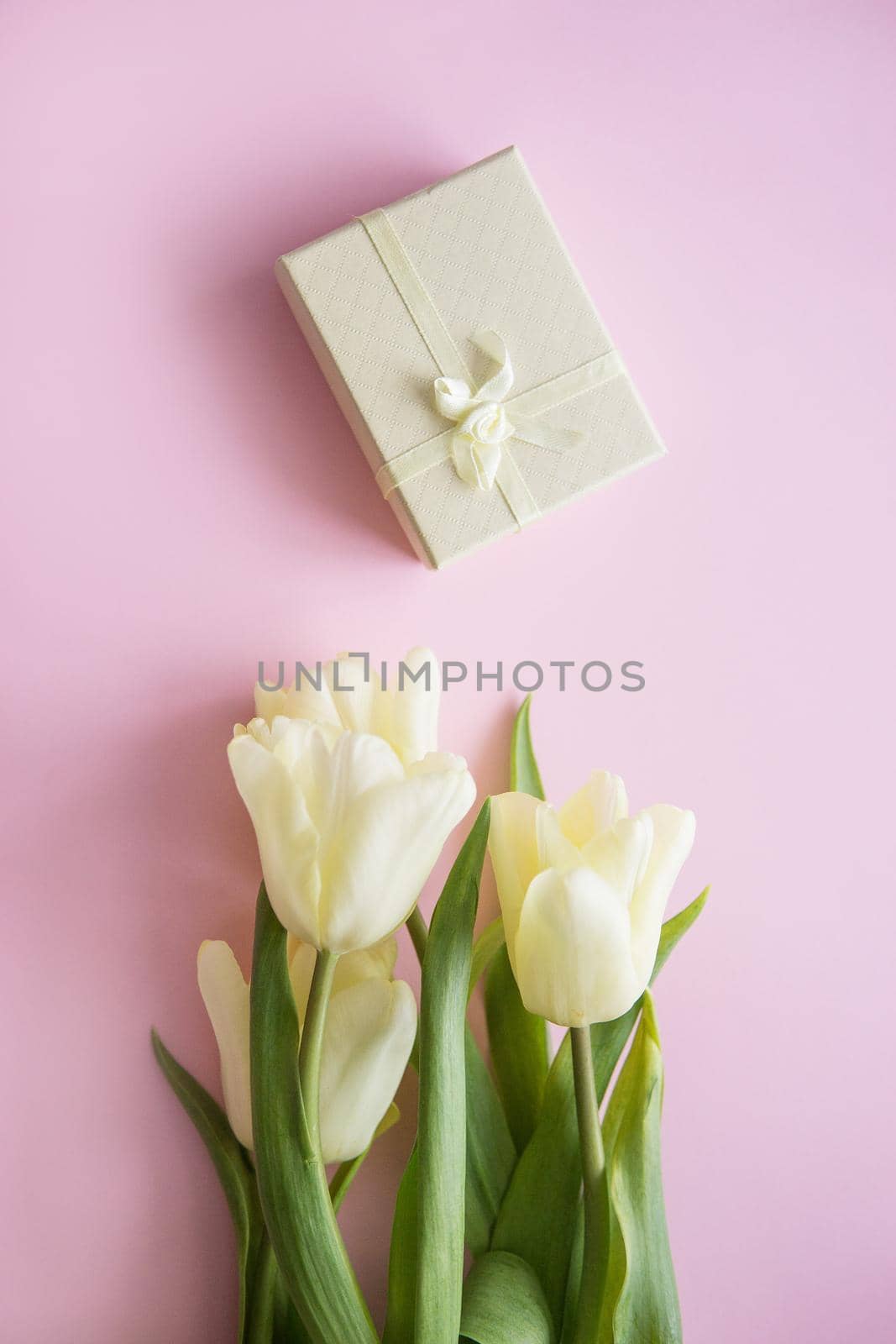Yellow Tulip flowers are arranged on a pink background. The view from the top, flat lay. Empty space for the text. Spring concept. Women's day. Mother's day.