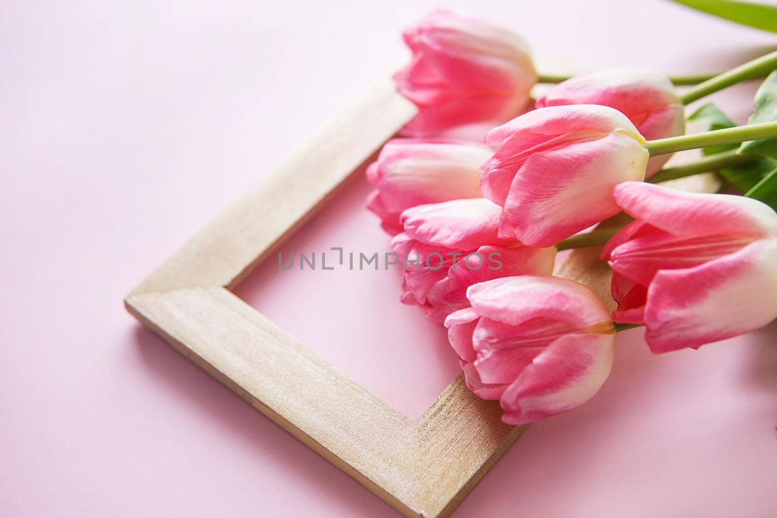 Pink Tulip flowers are arranged on a pink background. Flowers on a close-up photo frame. Spring concept. Women's day. Mother's day.