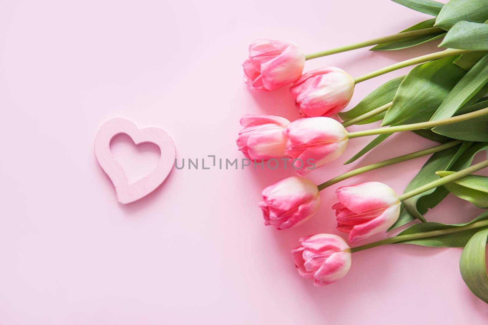 Pink Tulip flowers, a tree cutting and a gift box are placed on a pink background. The view from the top, smooth lay. The concept of spring. Women's day. Valentine's day. The heart is a symbol of love.