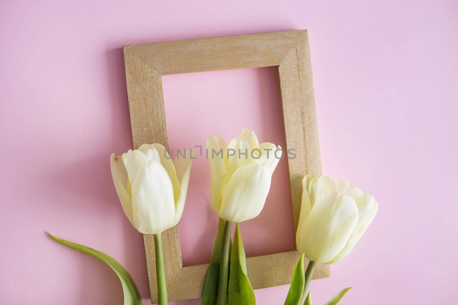 Yellow Tulip flowers are arranged on a pink background. The view from the top, flat lay. Empty space for the text. Spring concept. Women's day. Mother's day.