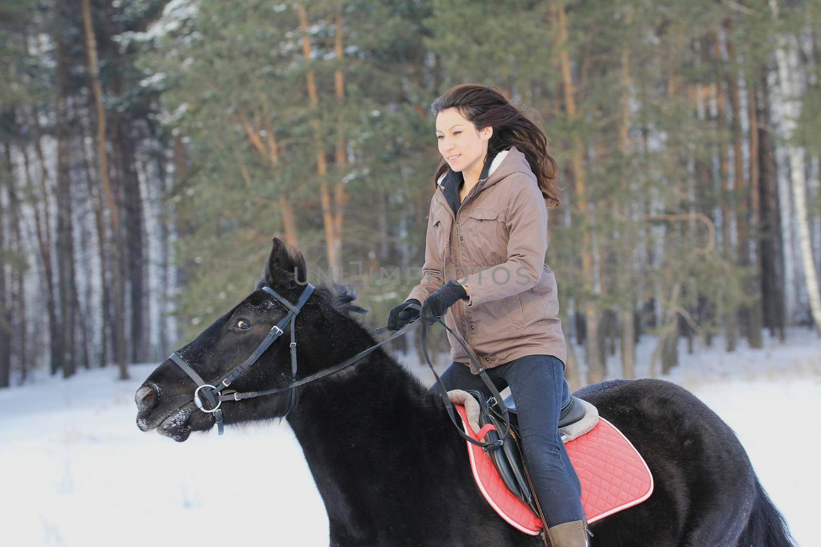 Young attractive woman riding on black horse in snowy forest, telephoto shot