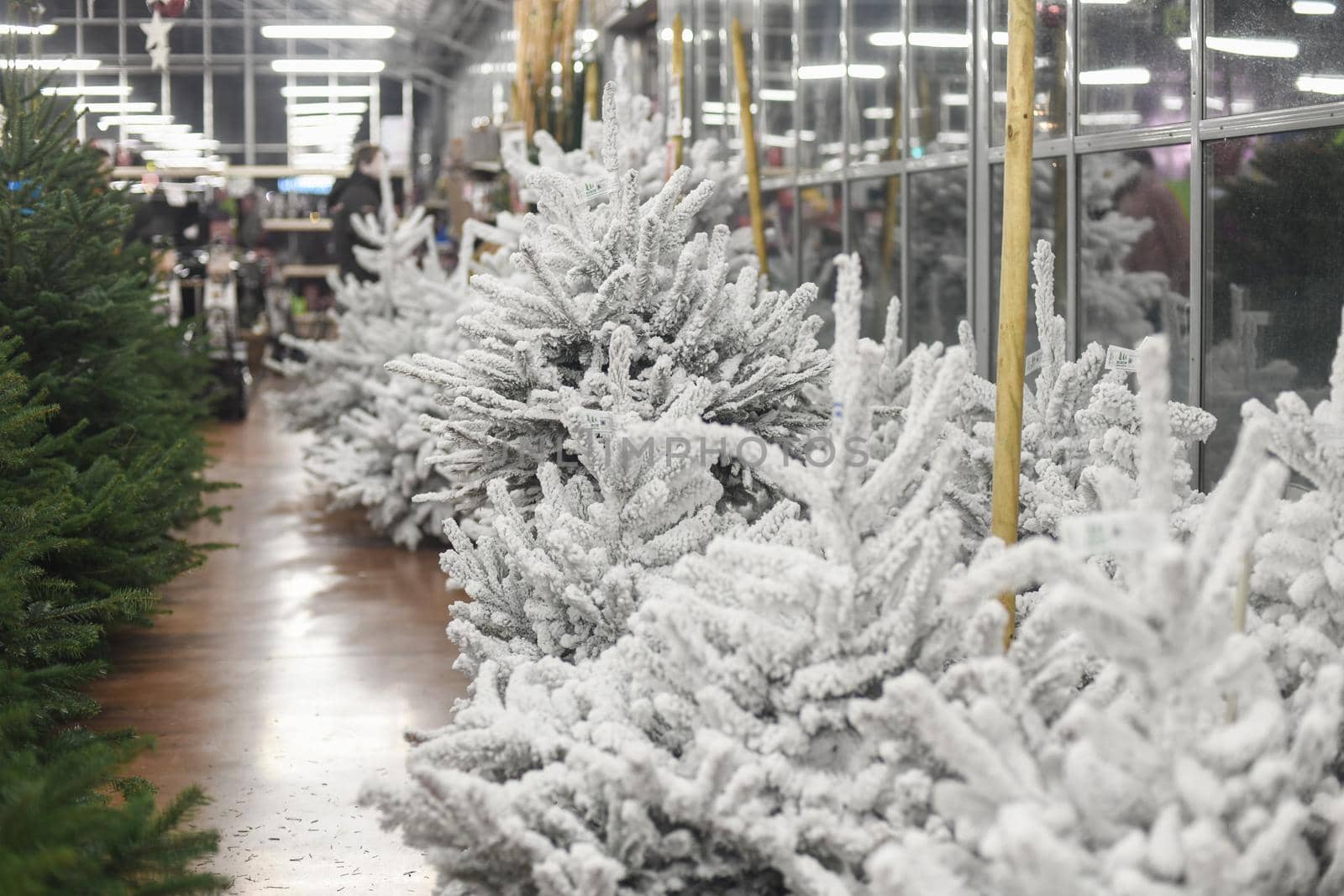 White christmas artificial trees for sale on a shop