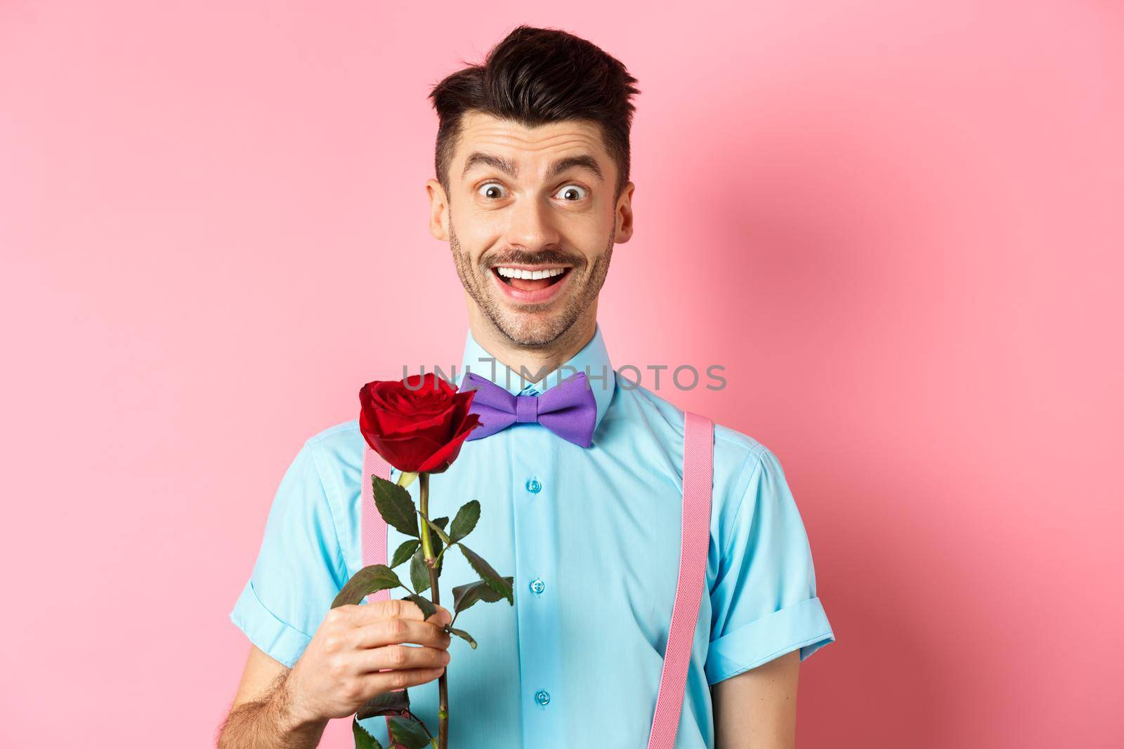 Excited bearded man with moustache and bow-tie waiting for date with red rose, having romantic moment on Valentines day, standing on pink background.