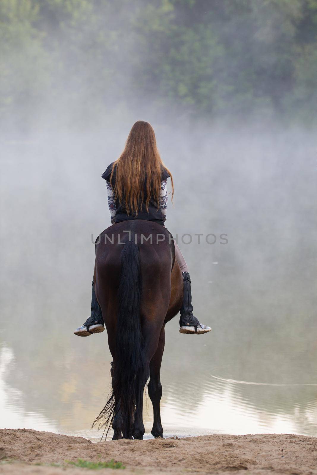 Young woman on horse about to go into the lake. Early morning, fog