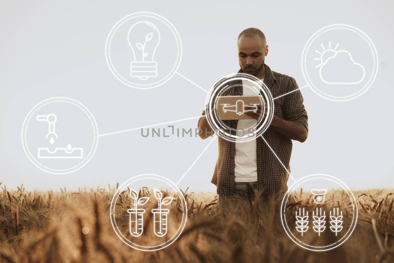 Farmer standing with digital tablet in a wheat field using modern technologies in agriculture, close up