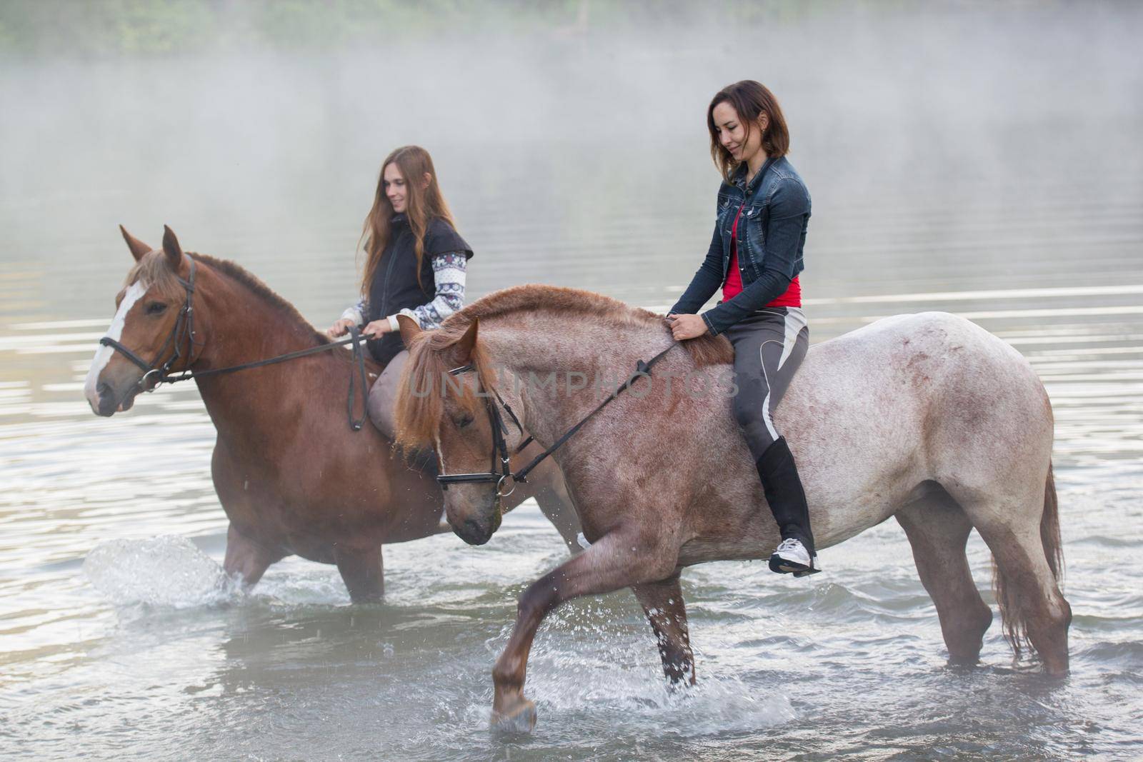 Two young women on horses stay in the water. Early morning, fog