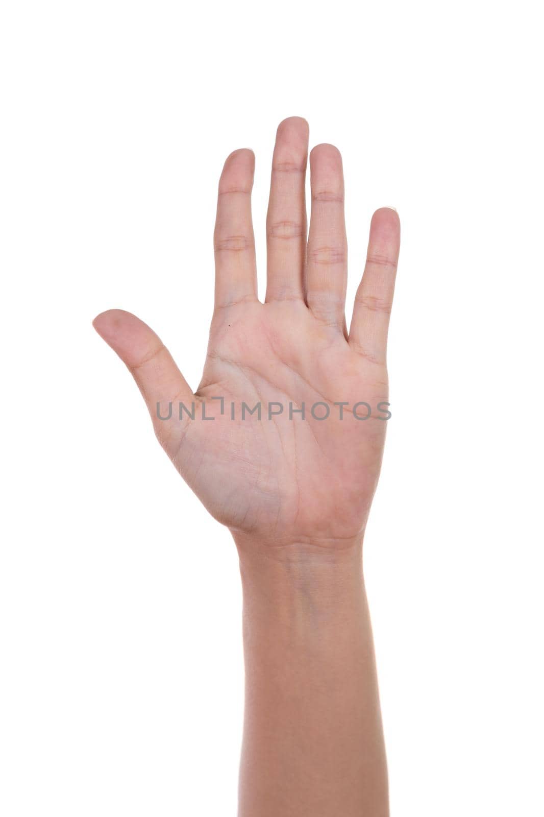 hands show the number five isolated on white background
