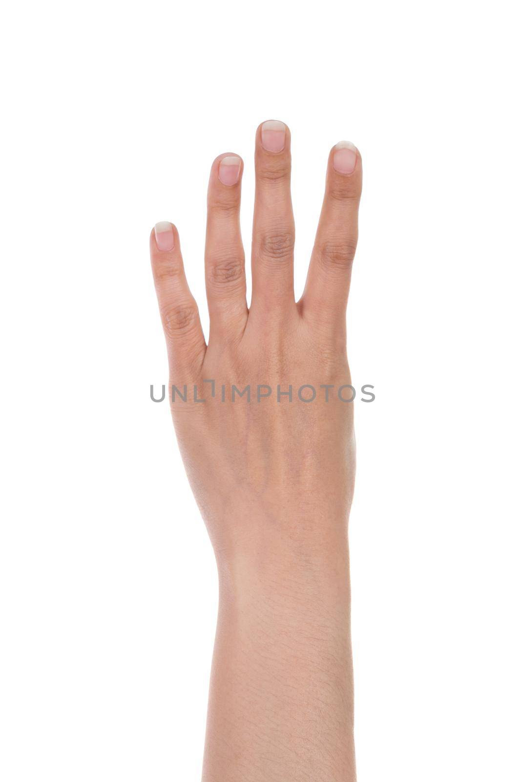 hands show the number four isolated on white background