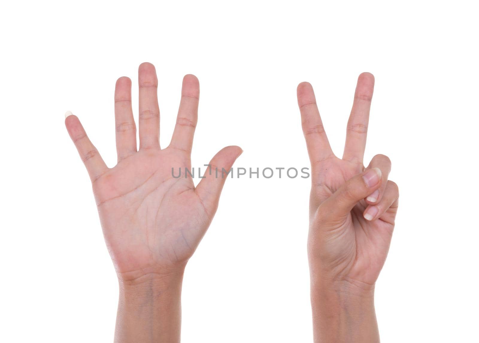 hands show the number seven isolated on white background