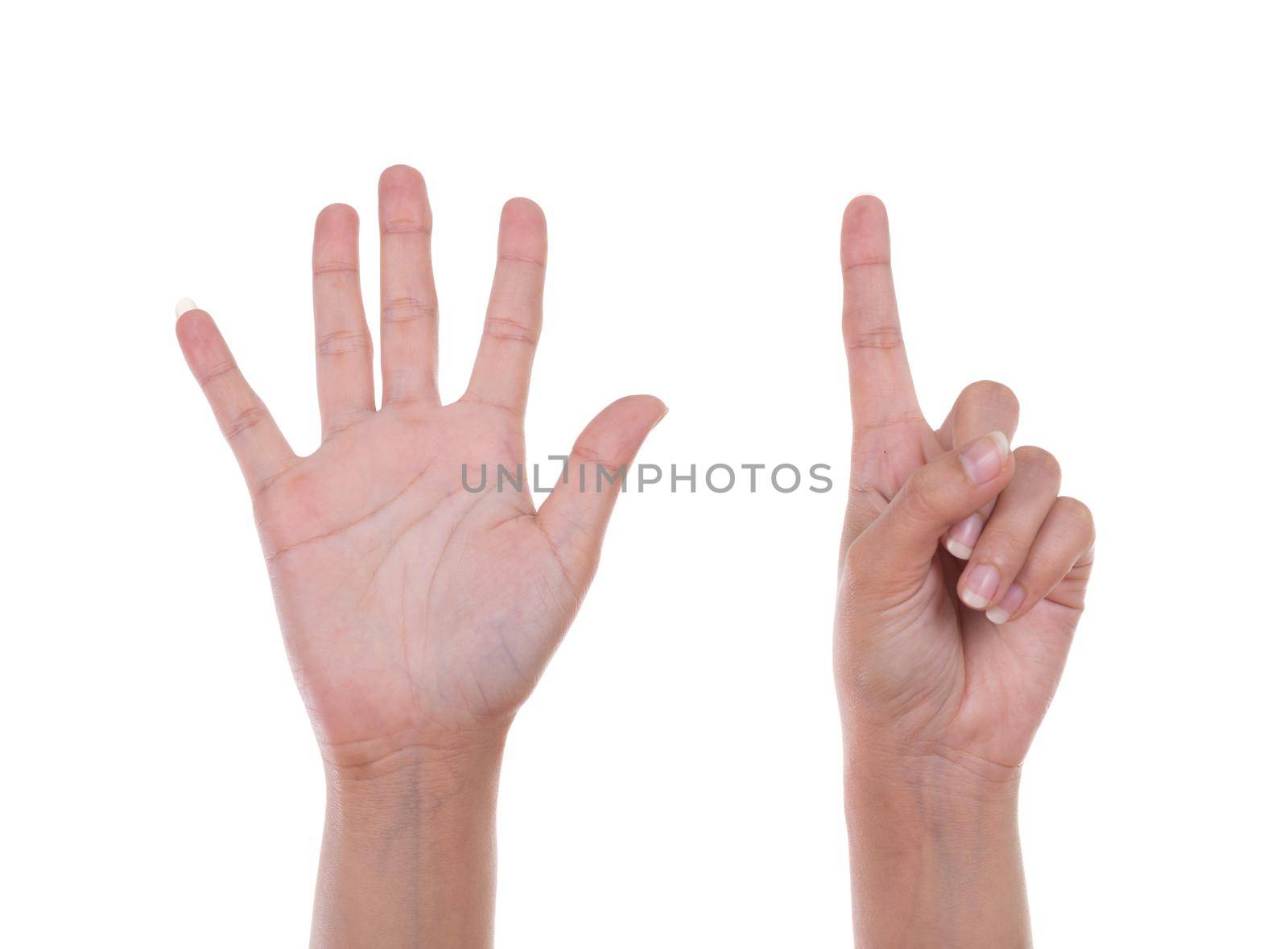 hands show the number six isolated on white background