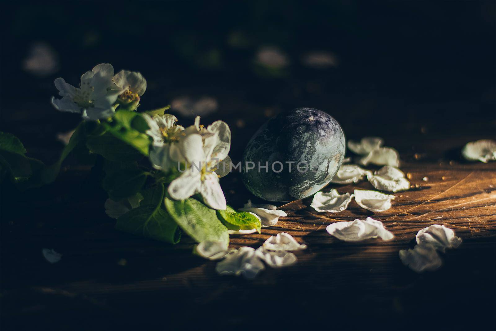 Easter eggs on rustic wooden background with apple blossom branch by mmp1206