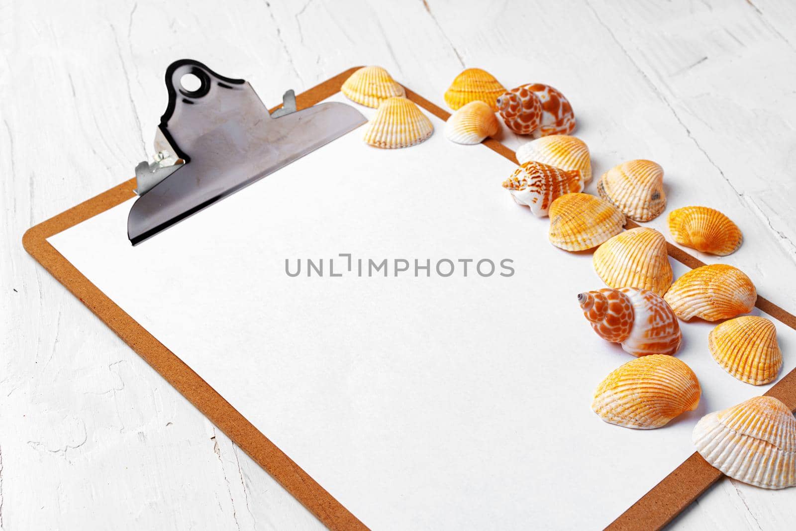 Clipboard with sea shells on white wooden table close up, copy space.
