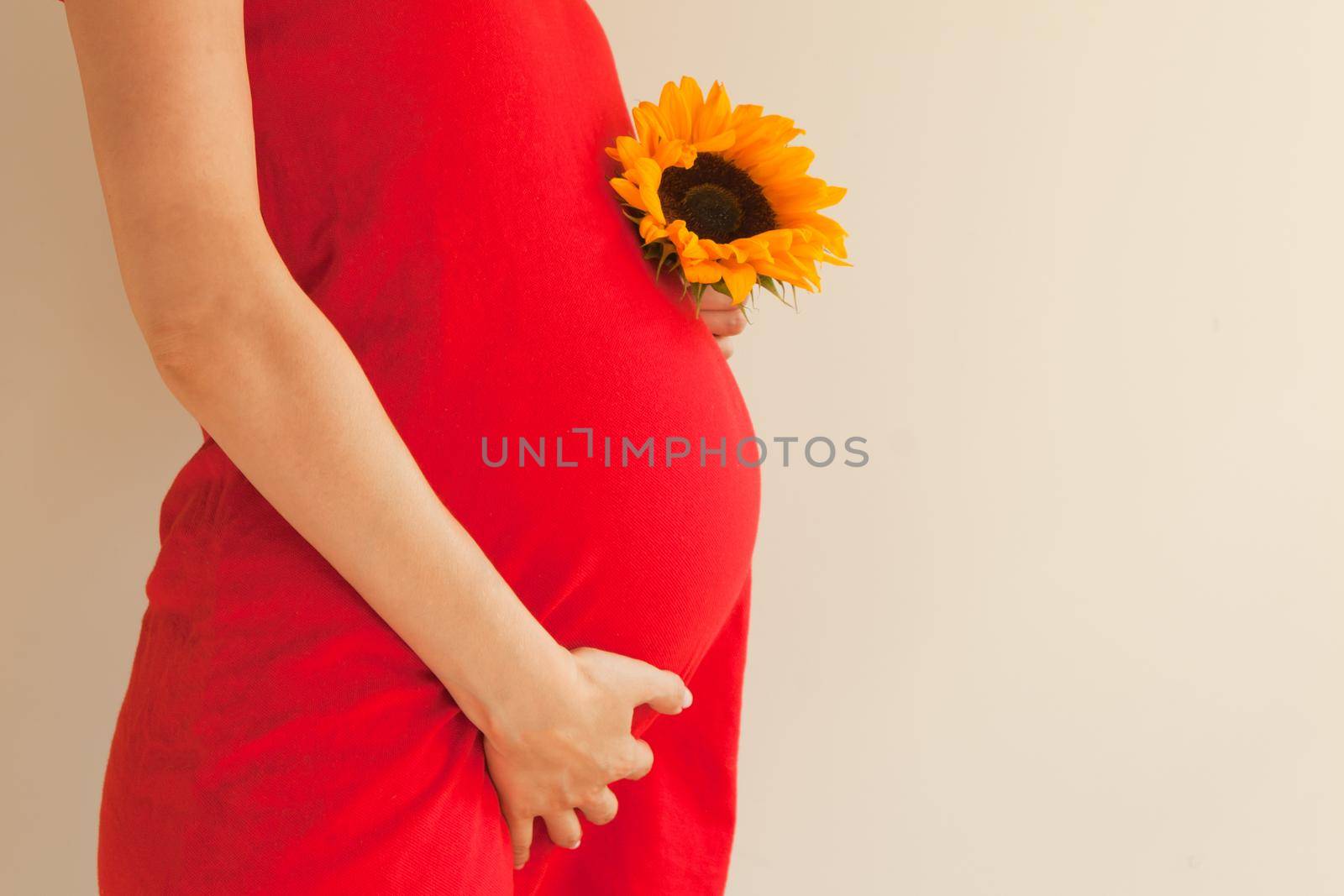 pregnancy belly with sunflower - pregnant girl in red dress hugs her belly and holds yellow sunflower in her hand