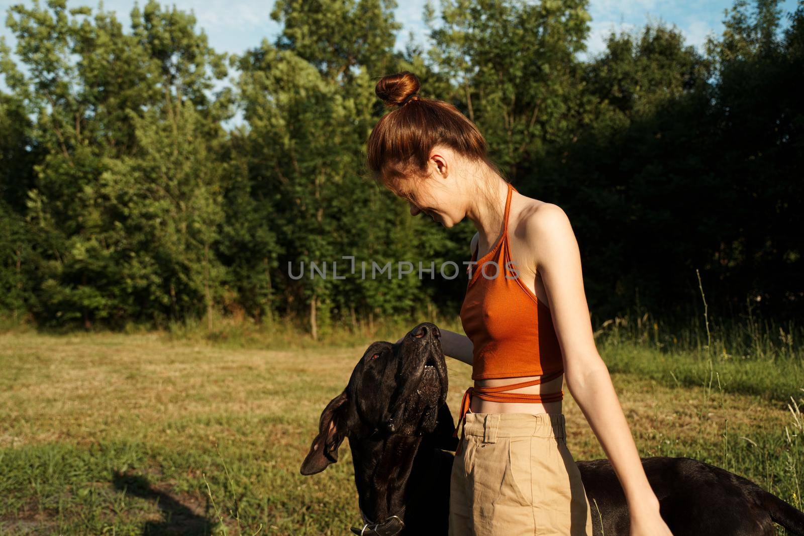 Cheerful Woman and a dog in the nature games Friendship. High quality photo