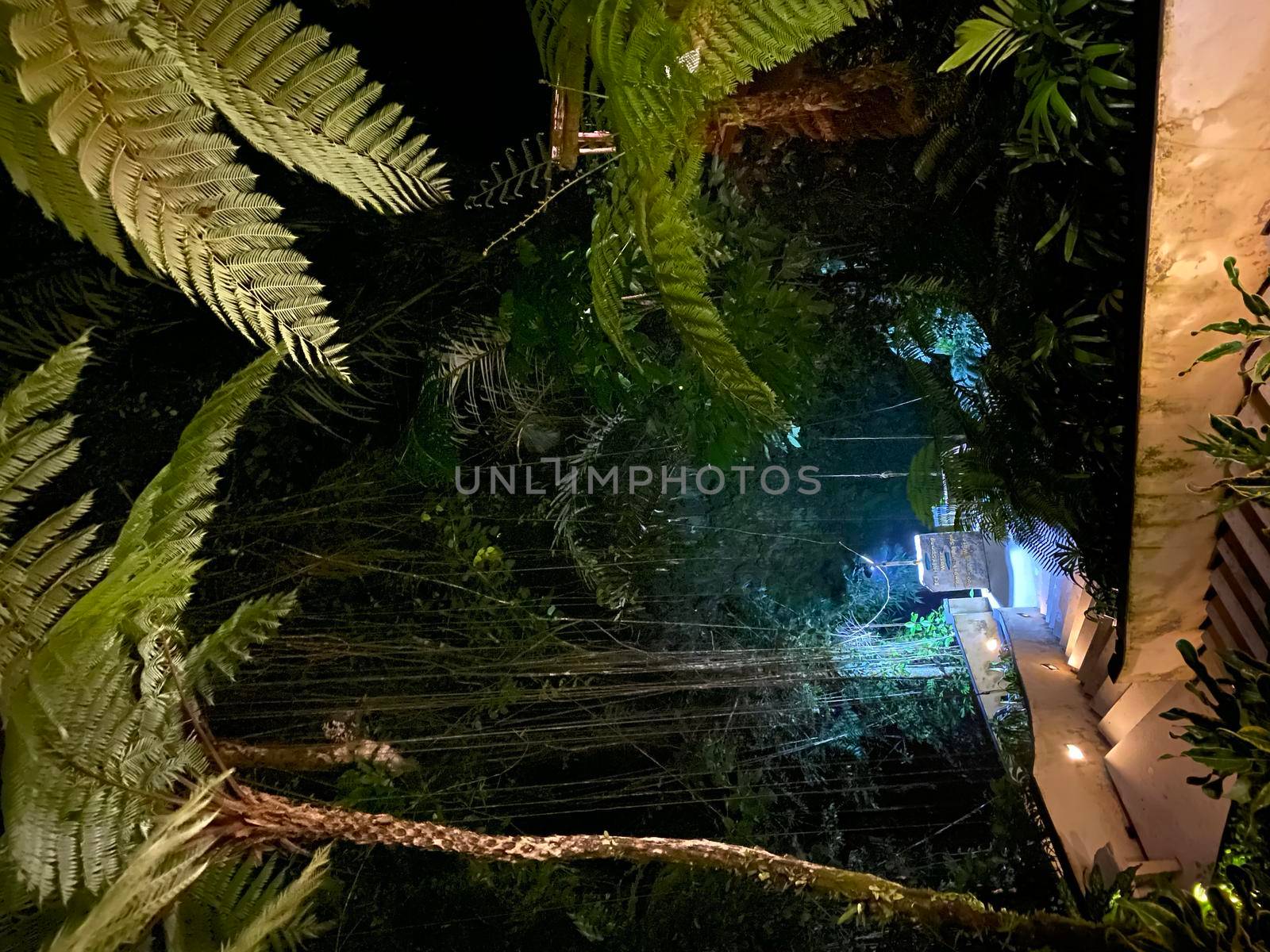 Luxury Villa at night time Ubud Bali Indonesia- stock photo by kaliaevaen