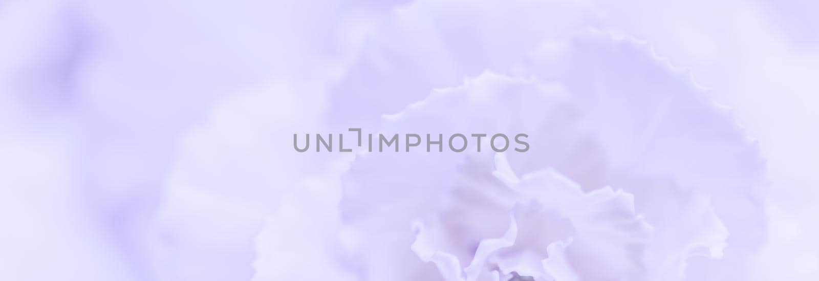 Retro art, vintage card and botanical concept - Abstract floral background, pale violet carnation flower. Macro flowers backdrop for holiday brand design