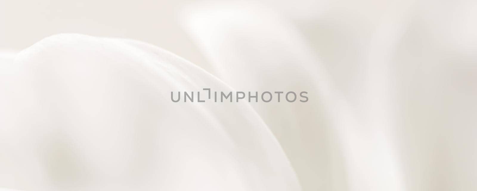 Soft focus, retro art, vintage card and botanical concept - Abstract floral background, white chrysanthemum flower petals. Macro flowers backdrop for holiday brand design