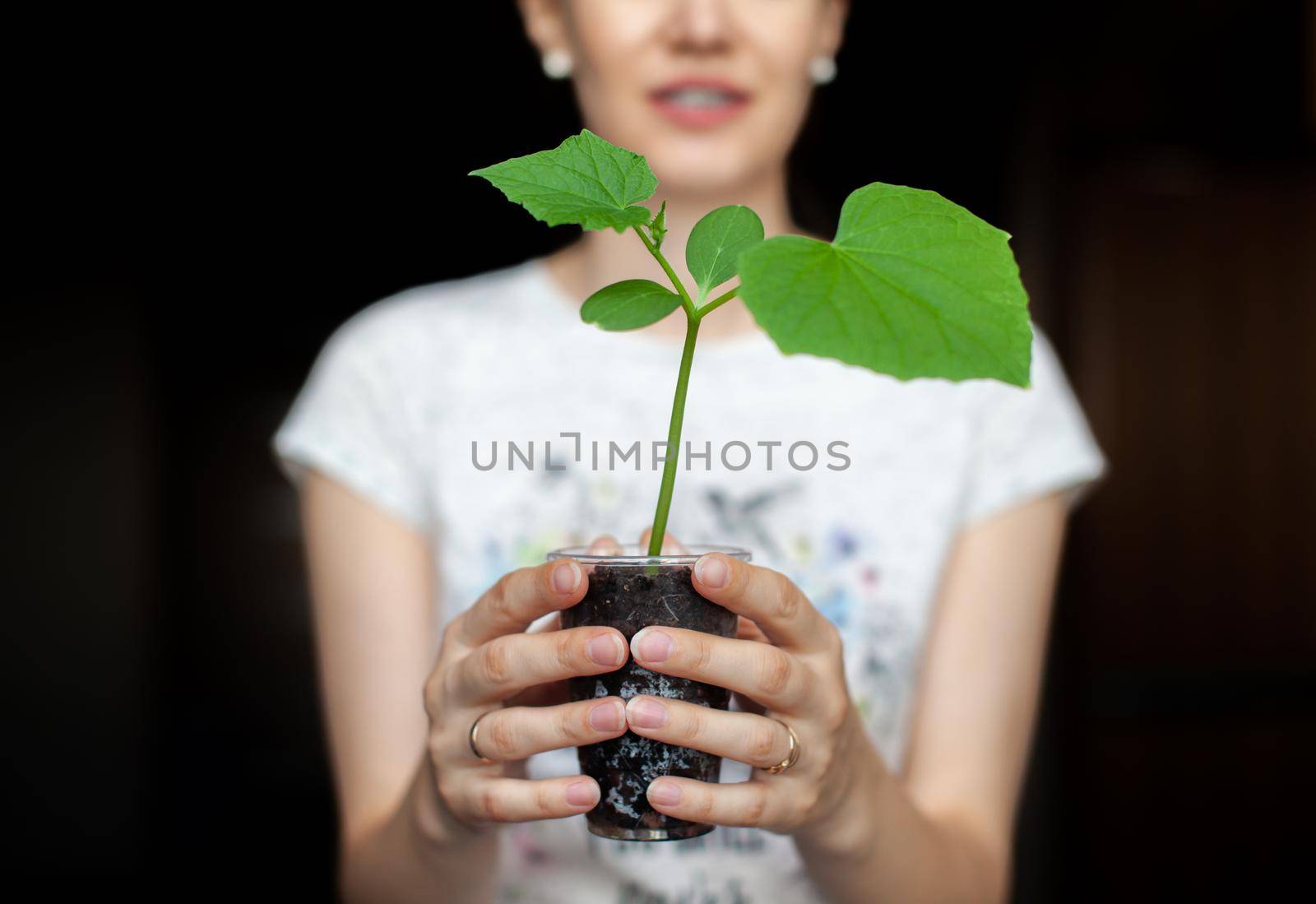 The girl is holding a black pot with a green plant on a dark background. Seedlings of cucumbers in a pot, ready for planting in the ground. Environmental protection. Respect for nature