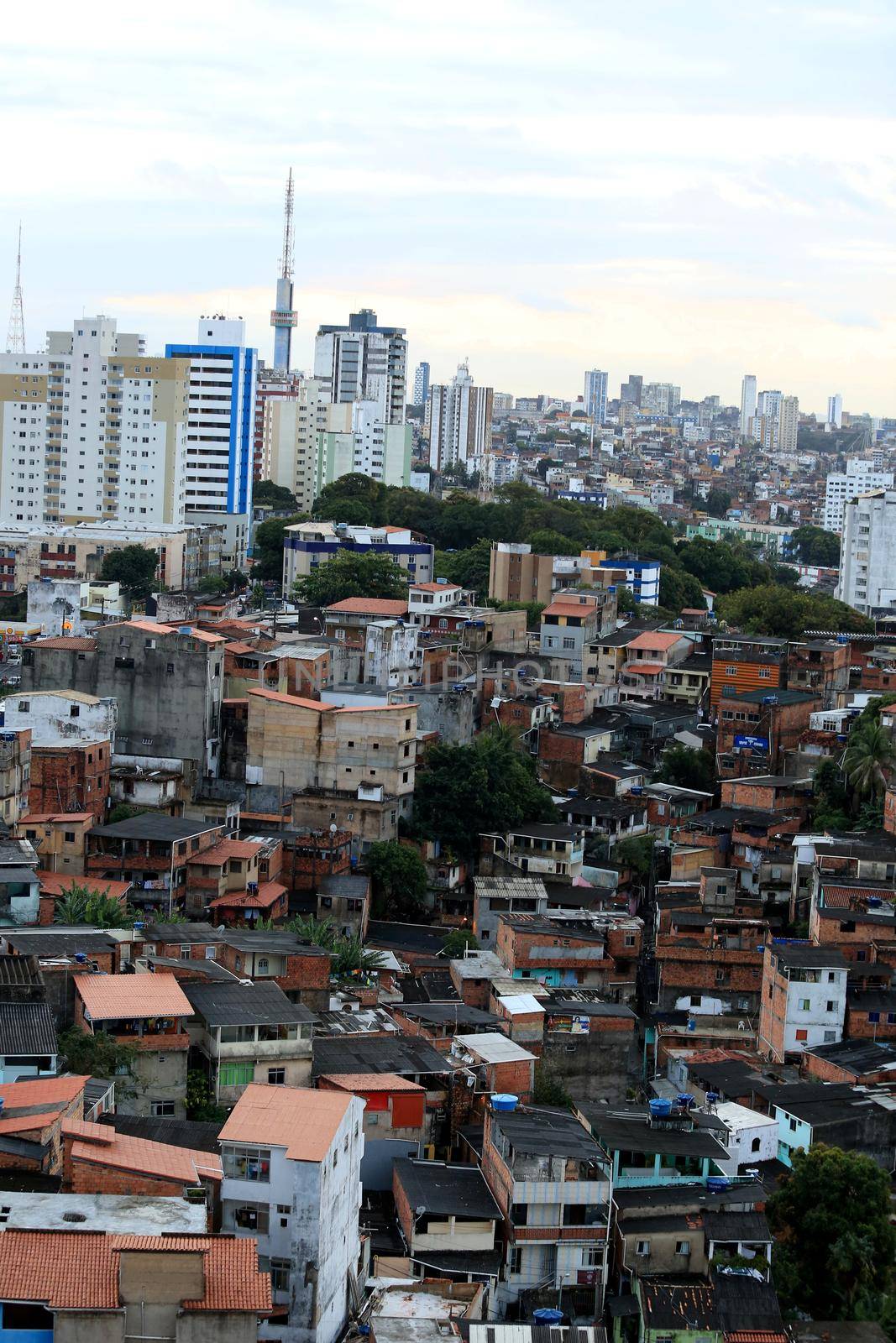 salvador, bahia, brazil - august 29, 2016: Aerial view of dwellings in favela area in Federacao neighborhood in Salvador city.