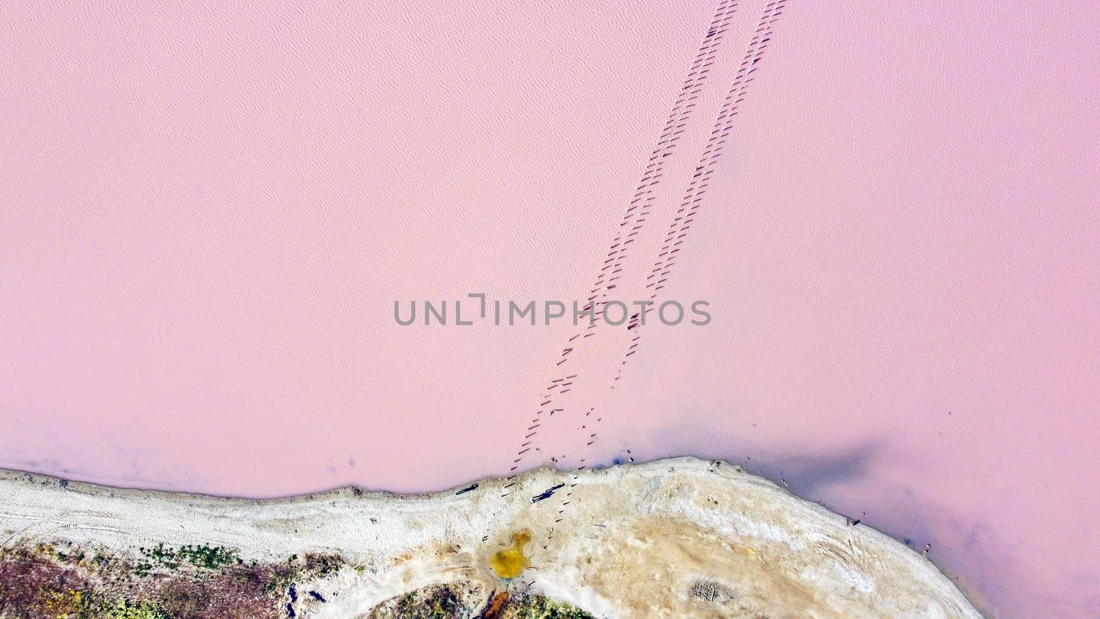 The pink lake - stock photo. View from the drone