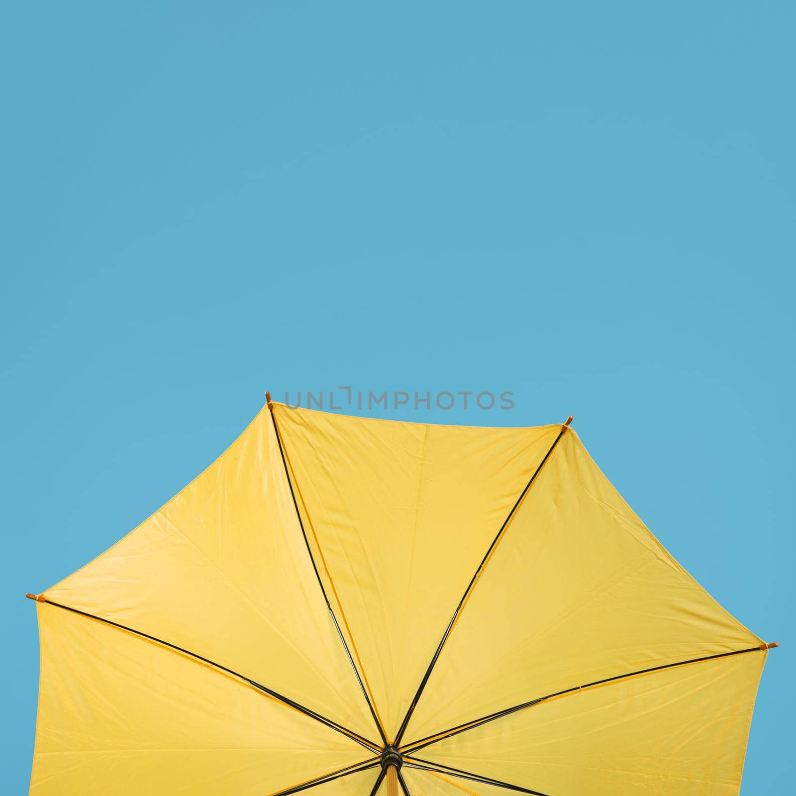 copy space yellow umbrella by Zahard